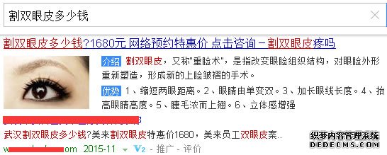 百度竞价 网站优化 关键词排名 竞价人员