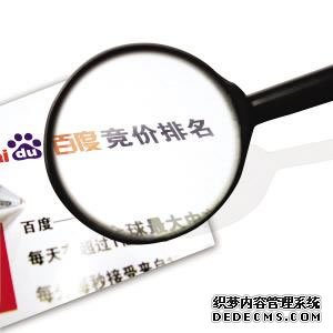 百度竞价 网站优化 关键词排名 竞价人员